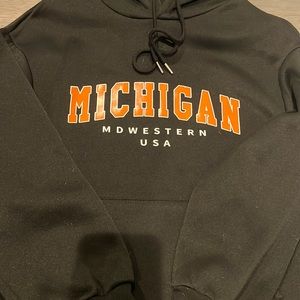 Michigan midwestern USA hoodie